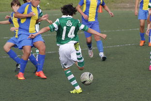 澳客网页版登录入口-中国足球超级联赛收官,广州恒大夺冠,足球比赛广州恒大