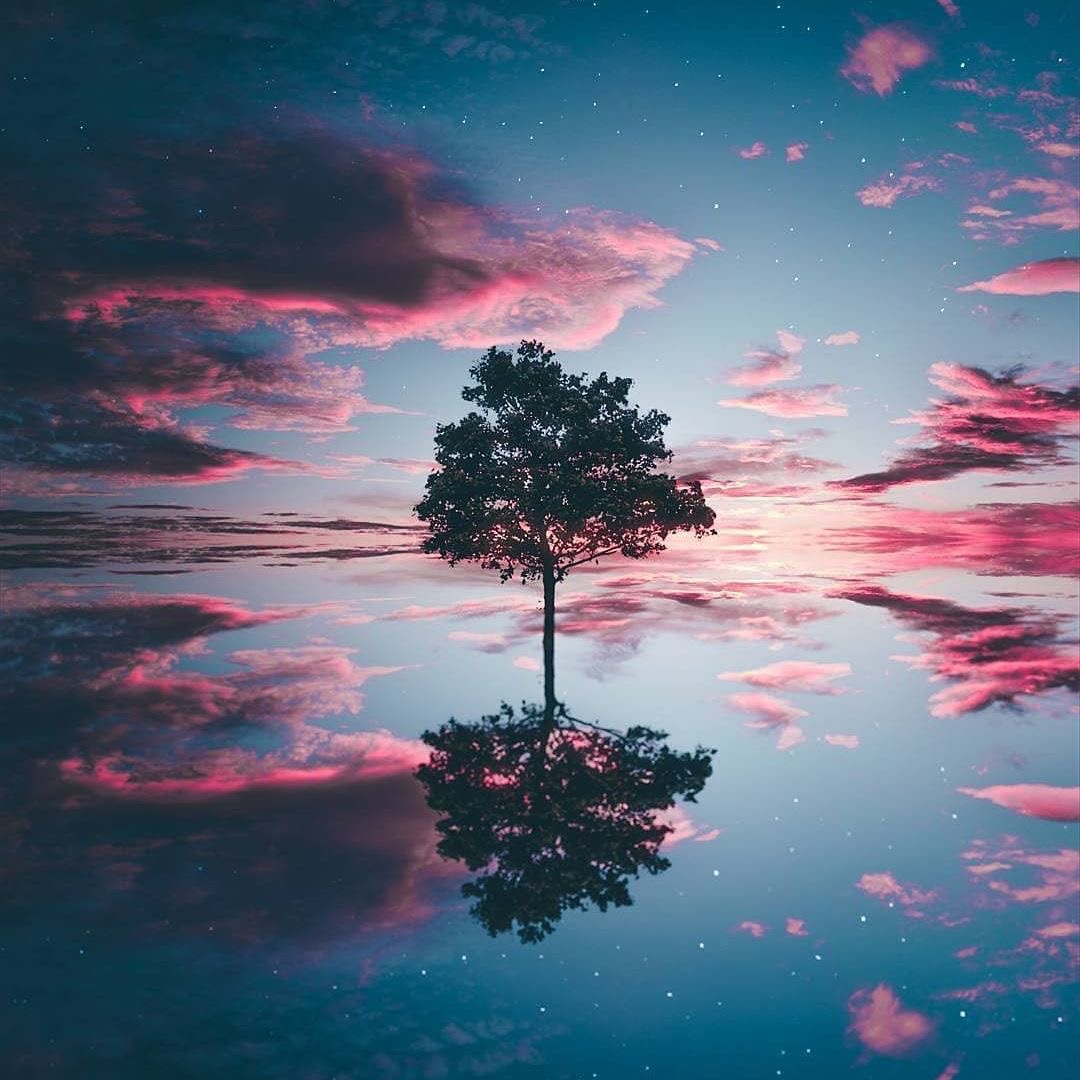 澳客app-包含欧洲篮球杯赛季末尘埃落定，王者终现的词条